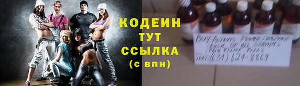 индика Кинешма
